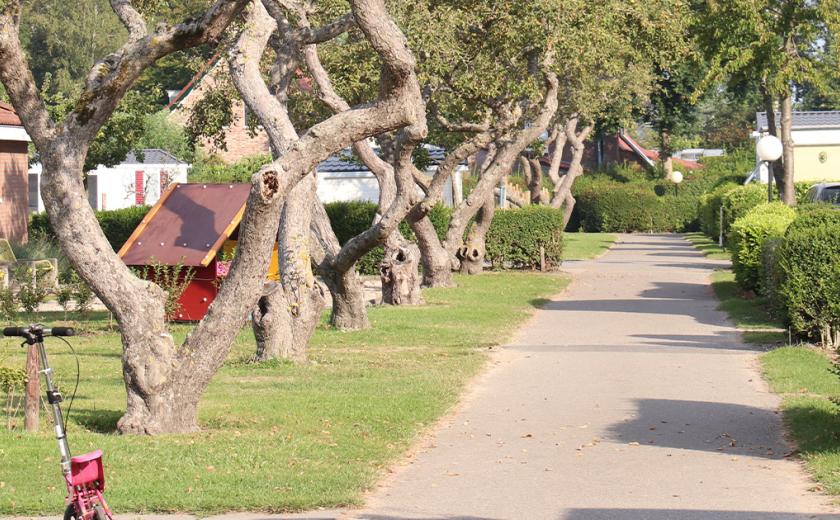 Hébergements au camping In de Bongerd aux Pays-Bas